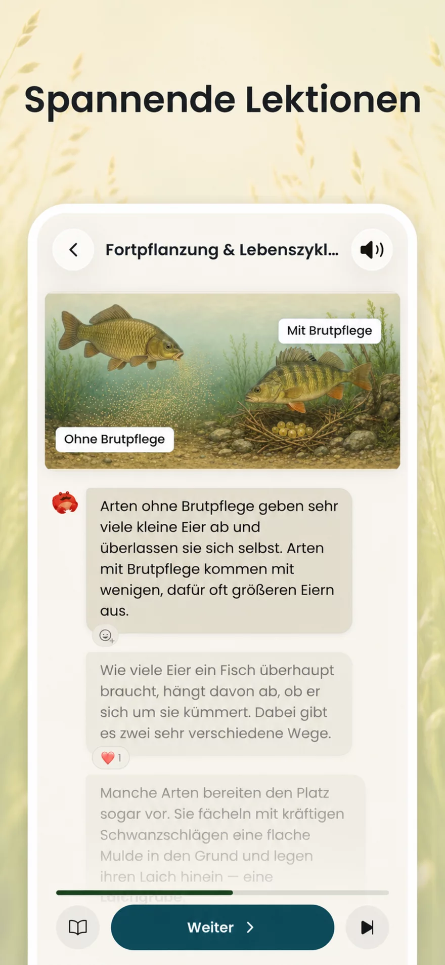 Meisterkurs-Lektion in der Angelmeister-App